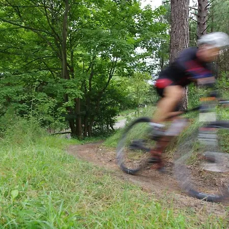 Have A Stay! - La Casita Alta Free Parking * Noordwijk