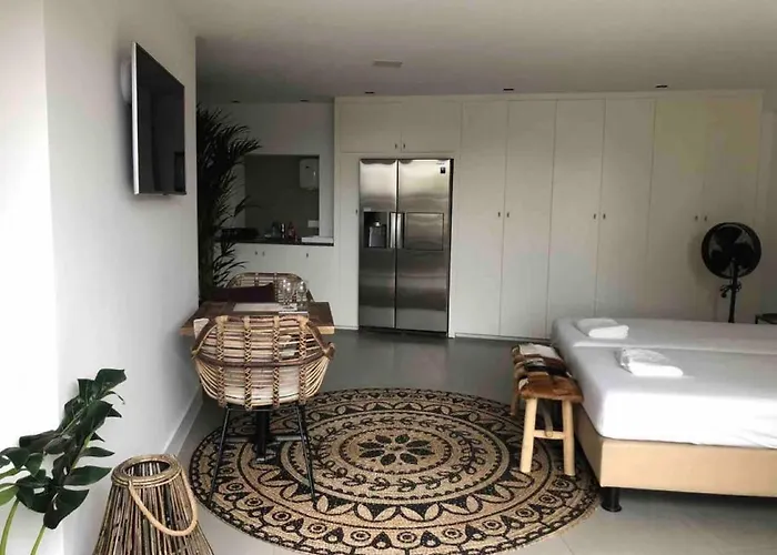 Have A Stay! - La Casita Alta Free Parking Noordwijk