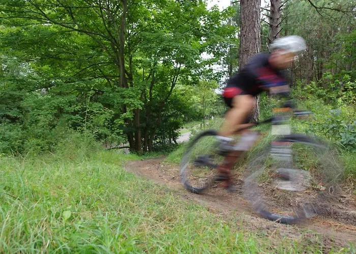 Have A Stay! - La Casita Alta Free Parking * 노르트베이크